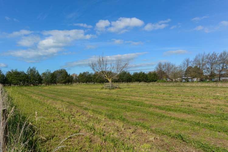 23 Johns Road Jervoistown_18