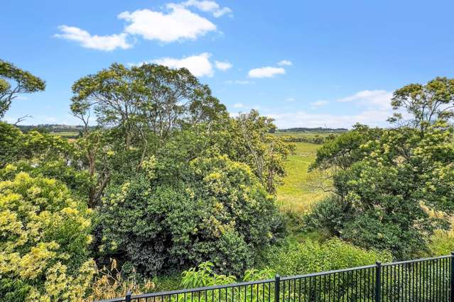 17 Rural View Terrace Pukekohe_2