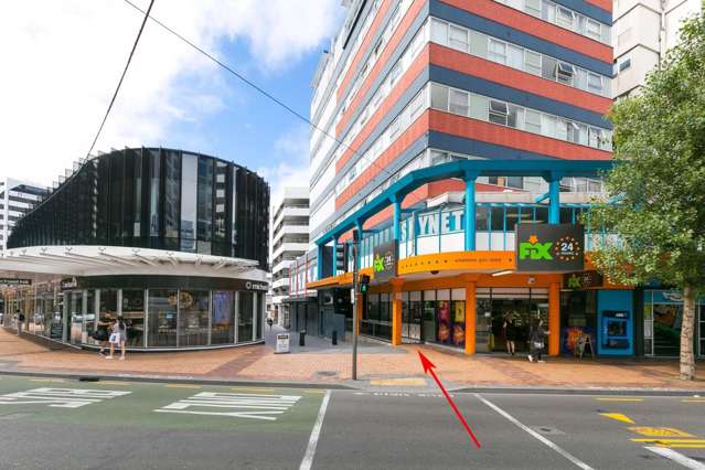Manners Street, Te Aro