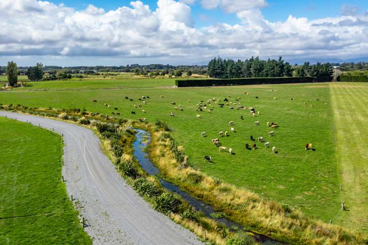 589 Coutts Island Road Coutts Island_7