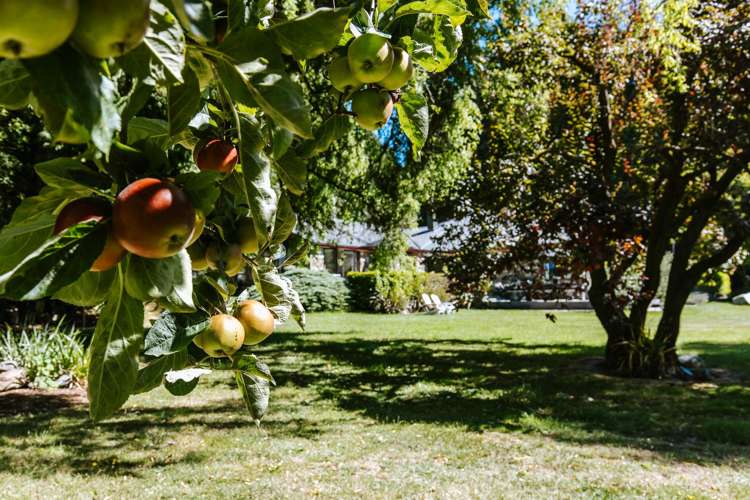 2127b Cardrona Valley Road Wanaka_5