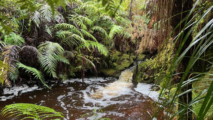 Whiskey Creek, State Highway 6 Charleston_14