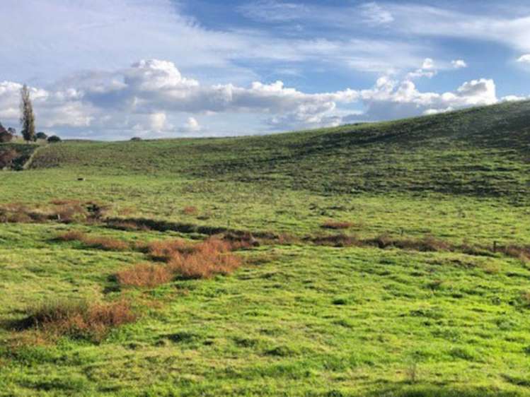 State Highway 3 Waitomo_9