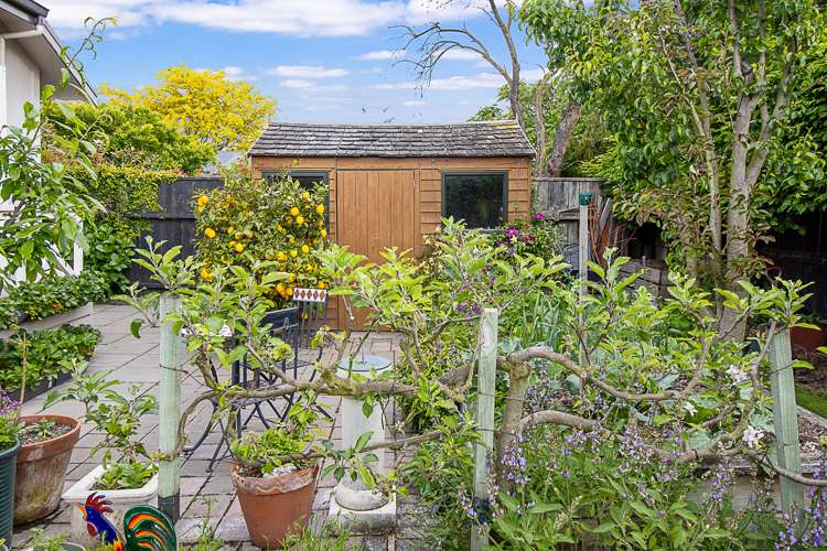 18 Purkiss Street Springlands_35