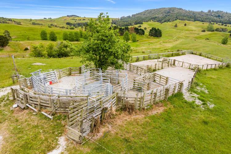 1228a Bull Road Paparoa_12