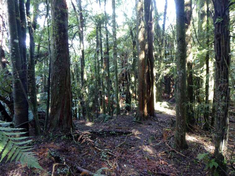 1278 Poihipi Road Oruanui_11