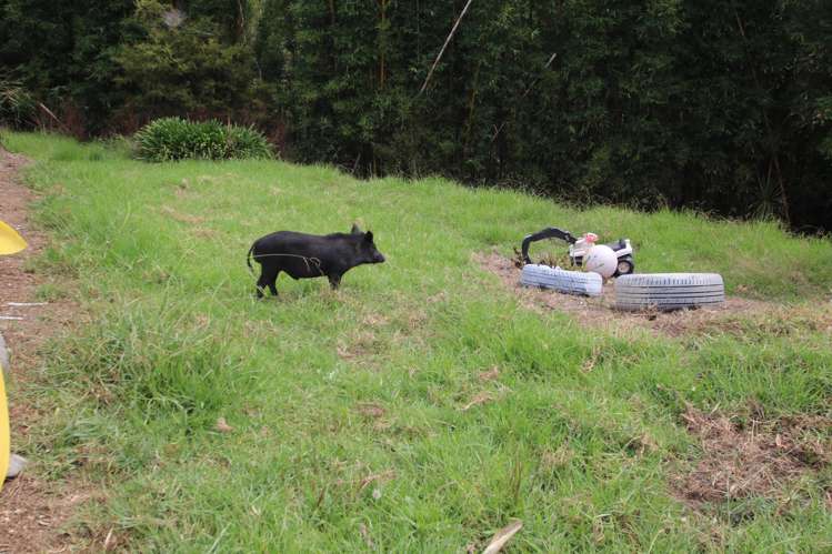 485 Fisher-Riley Road Kaitaia_16