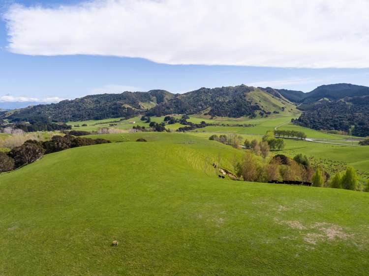 2122 Masterton Castlepoint Road Masterton_46