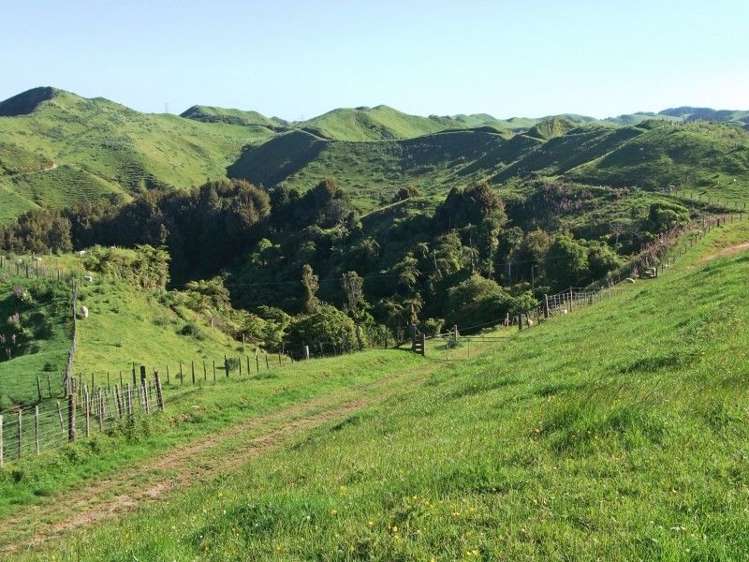 446 Stanley Road Te Popo_54