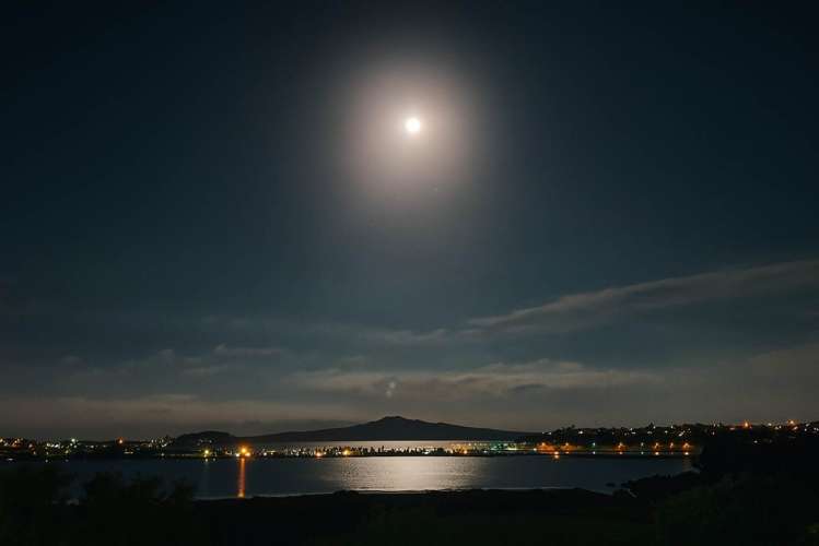 149A Arney Road Remuera_38