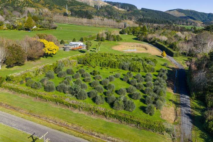 328 Millricks Line Linton_25