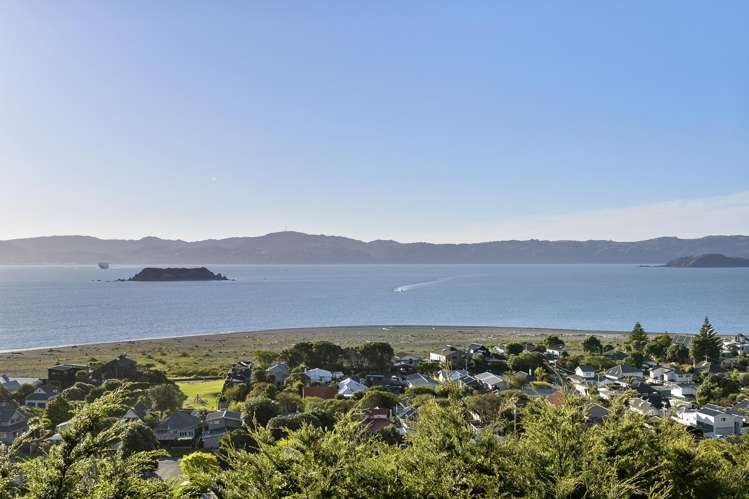 11 Karaka Street Eastbourne_6