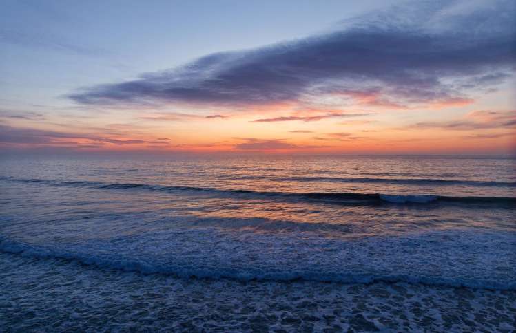 1481S State Highway One Mangamaunu_37