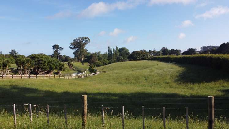 1516B Gordonton Road Taupiri_12