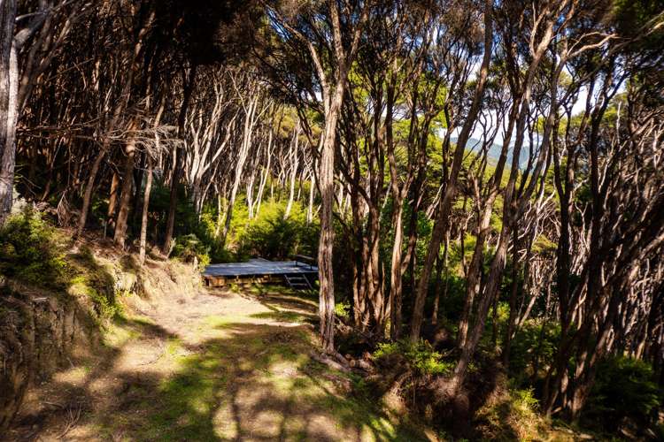 Lot 4 + 5 Te Aroha Bay, Otanerau Bay Marlborough Sounds_51