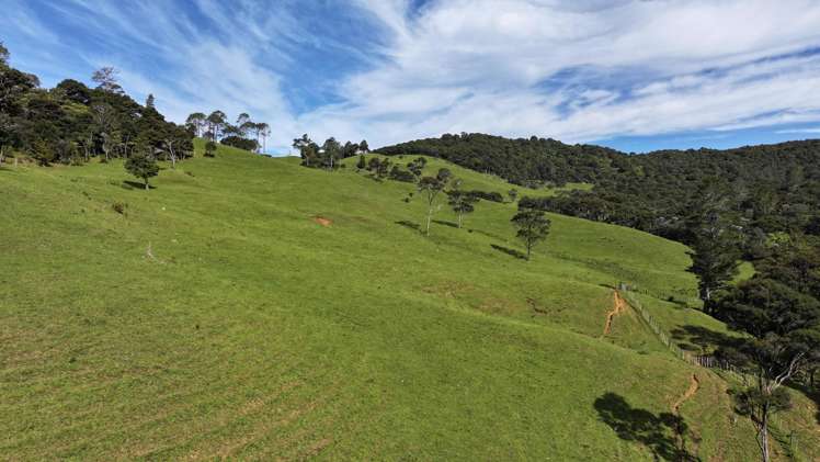 140 Kenana Road Mangonui Surrounds_40