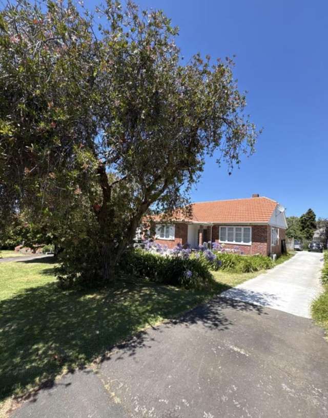 13 Massey Avenue Greenlane_1