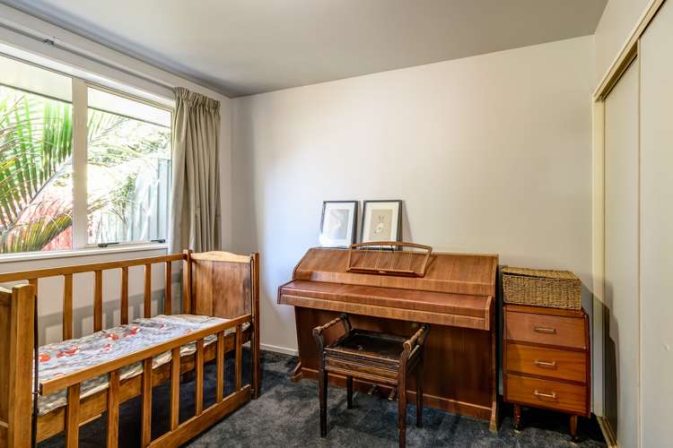 22c Tudor Street Motueka_5