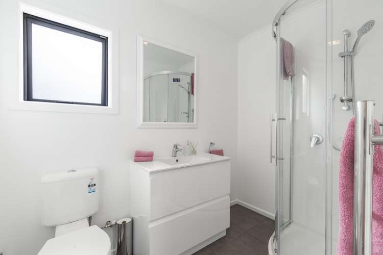 39 Horseshoe Bush Road Dairy Flat_6