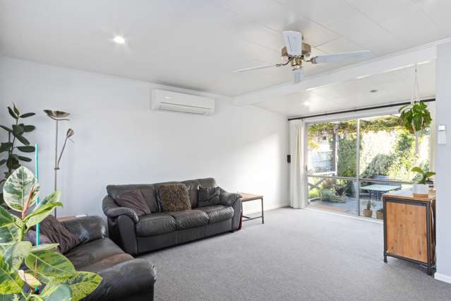 18 Skerrett Crescent Tamatea_1