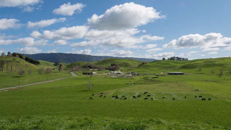 913 Whirinaki Valley Road Ngakuru_0