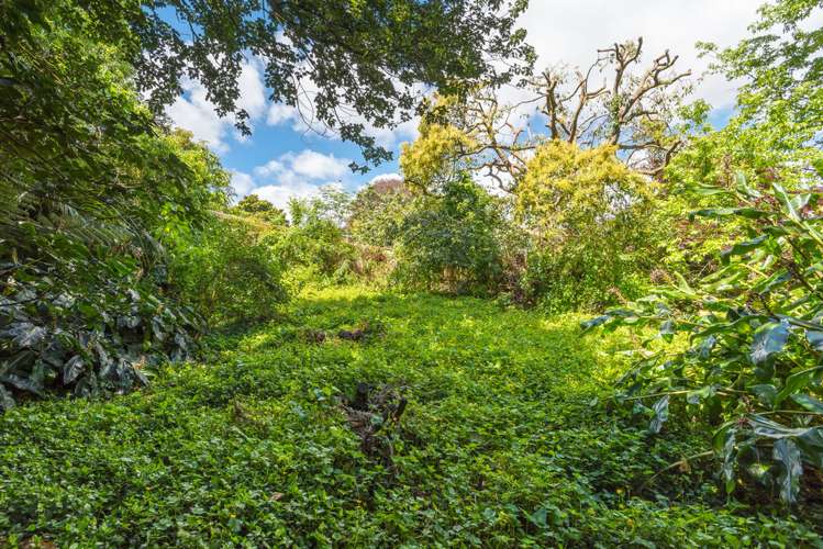 33 Glenfell Place Epsom_8