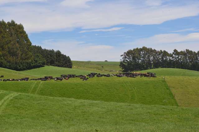 89 Brookstead Road Ngapara_1