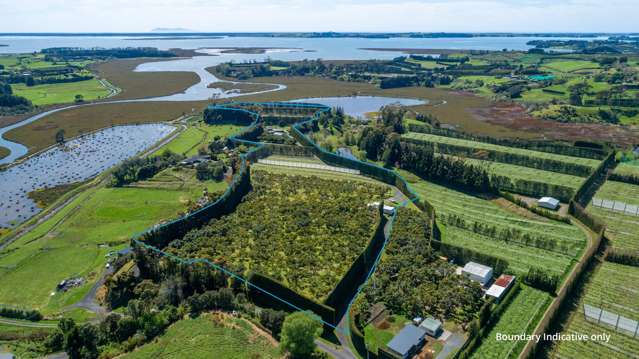 Quality Gold Kiwifruit and so much more