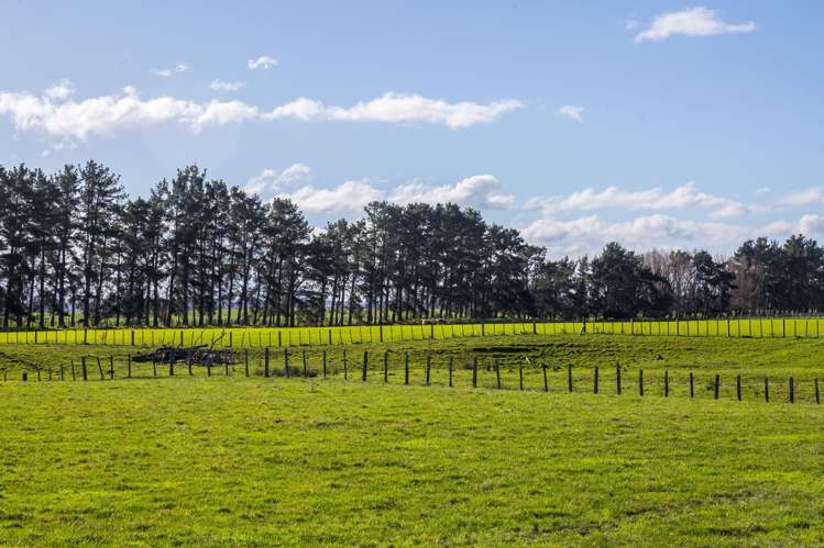 Lot 9, 18 Mahaki Road Martinborough_10