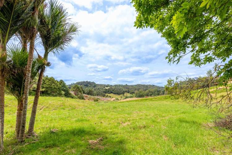 542 Duddy Road Hokianga_10