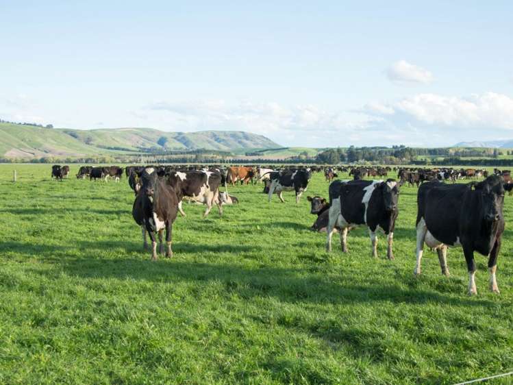 276 Talbot Road Fairlie_7