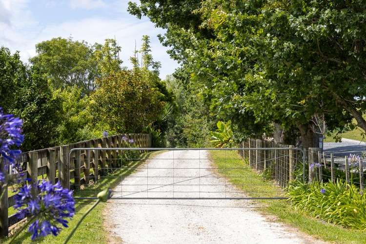 1137 Port Albert Road Wellsford_30