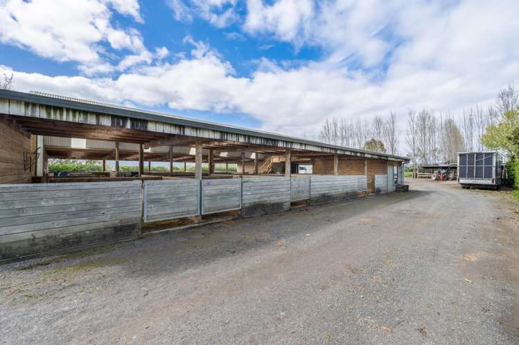 105 Twilight Road Clevedon_13