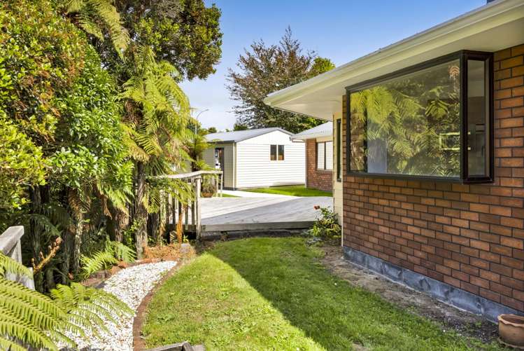 33 Nikau Street Inglewood_36
