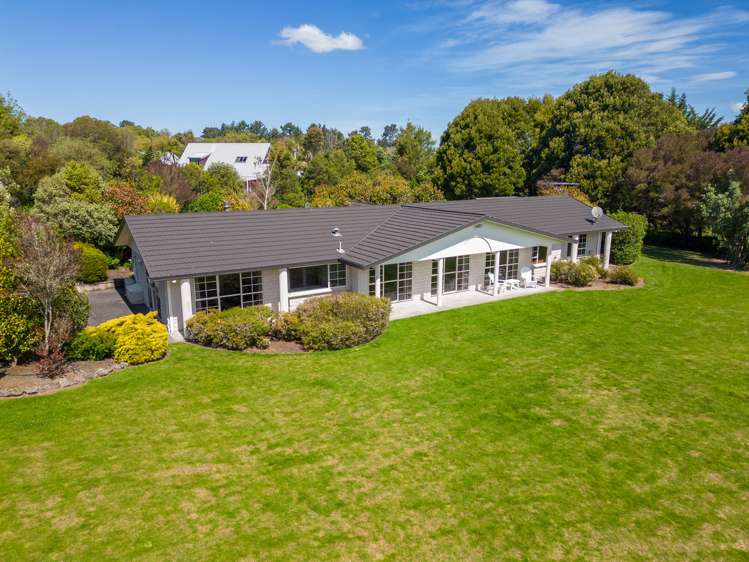 28 Milford Downs Masterton_13