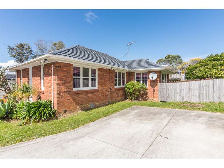 39 Gilliam Street New Lynn_10