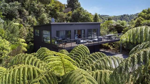 Privacy, views and peace above the lake