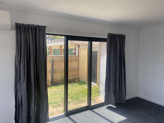 85 Pitt Street Palmerston North_4