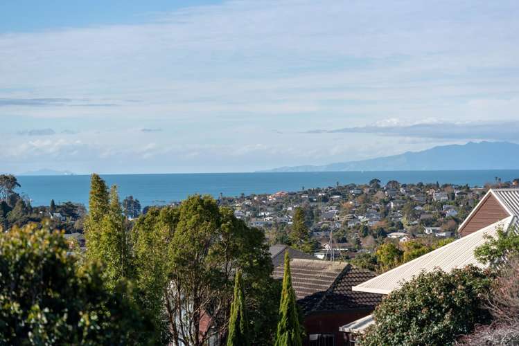 56 Fitzwilliam Drive Torbay_24