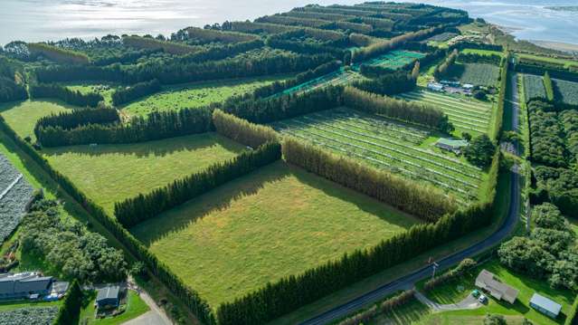 405-419 Matahui Road Aongatete_3