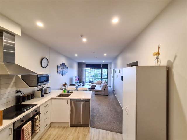 5f/6 Piwakawaka Street Eden Terrace_2