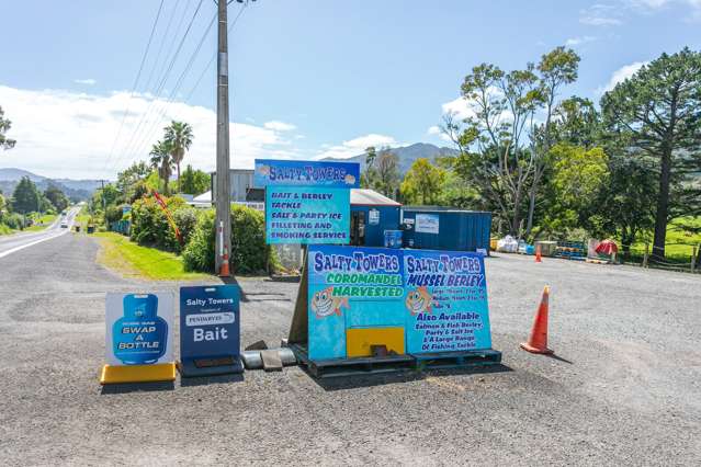 1965 Tiki Road, SH25, Coromandel Coromandel_1