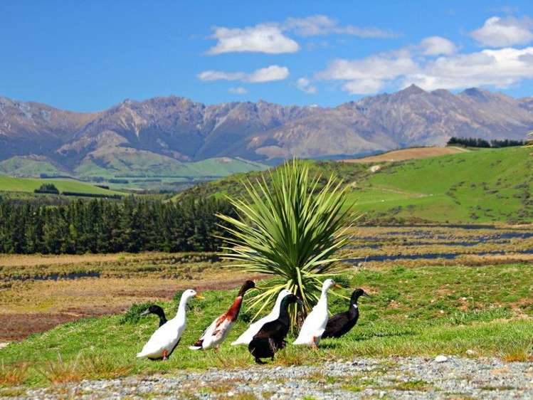 231k Ramparts Road Te Anau_5