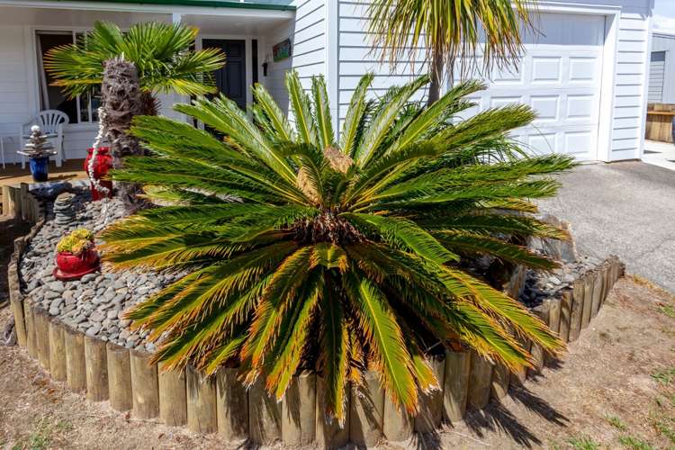 200 Mayfair Avenue Whangamata_5