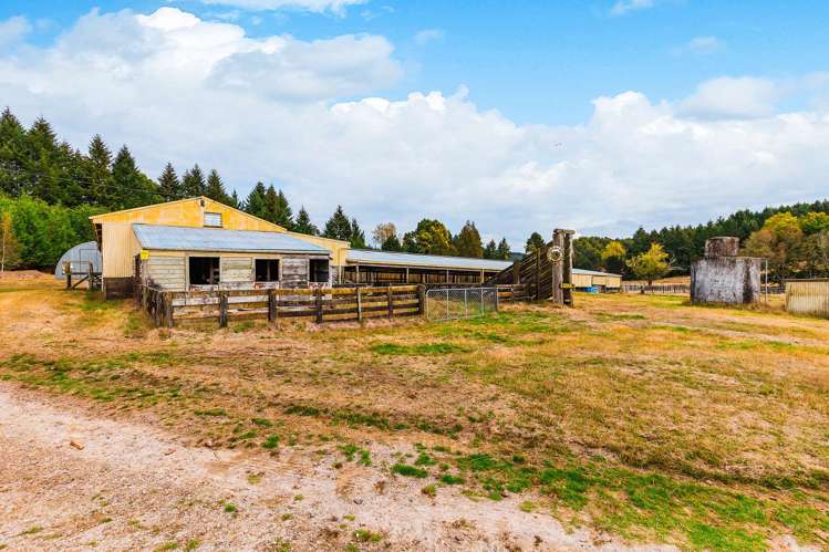 336 Puketapu Road Marotiri_6