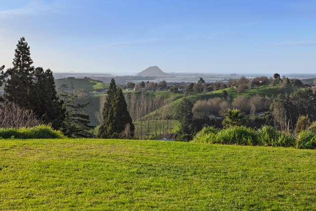 80b Neewood Road Ohauiti_1