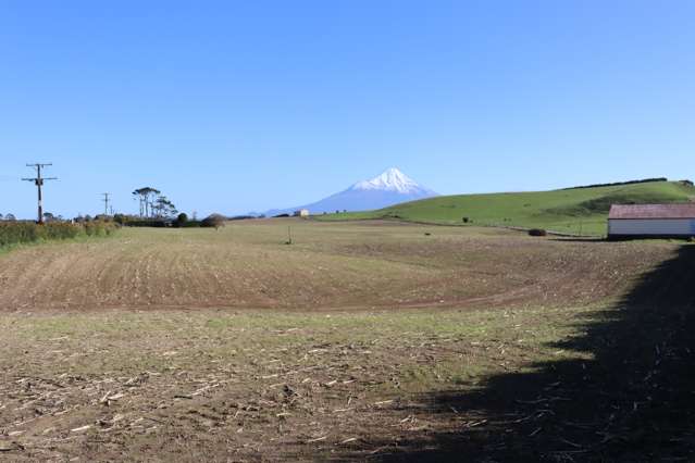 ELTHAM RURAL SECTION WITH SHED