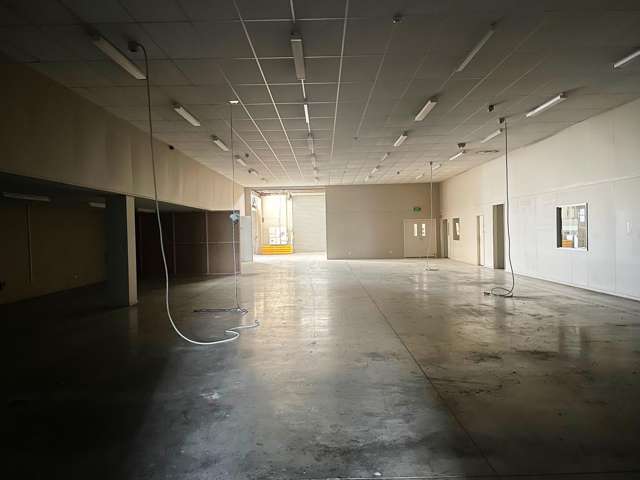 60 Fox Street South Dunedin_4