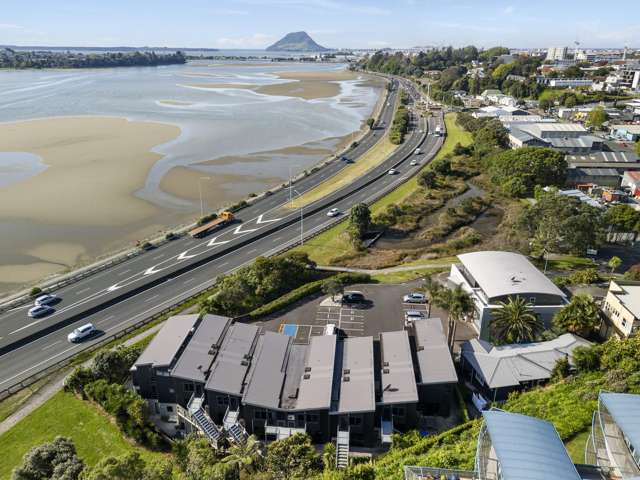 4A/144 Third Avenue Tauranga Central_2