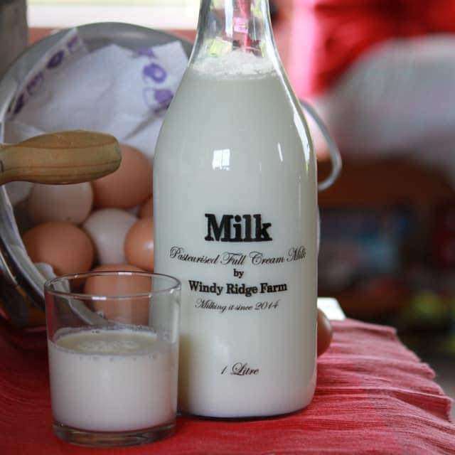 31 Windy Ridge Road Balclutha_3